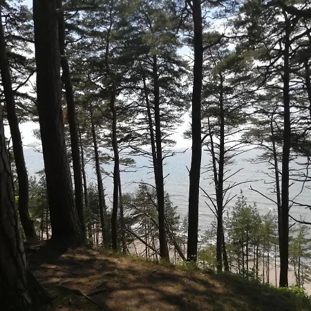 Poilsis Giruliuose Butas