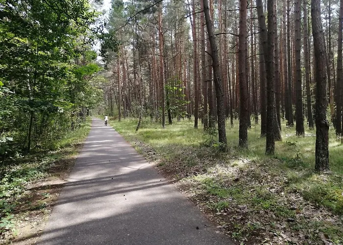 Poilsis Giruliuose Daire *