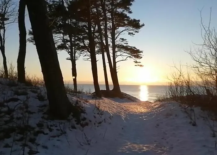 Poilsis Giruliuose Διαμέρισμα *